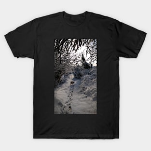 SNOW IN WELL LANE WINTER SCENE T-Shirt